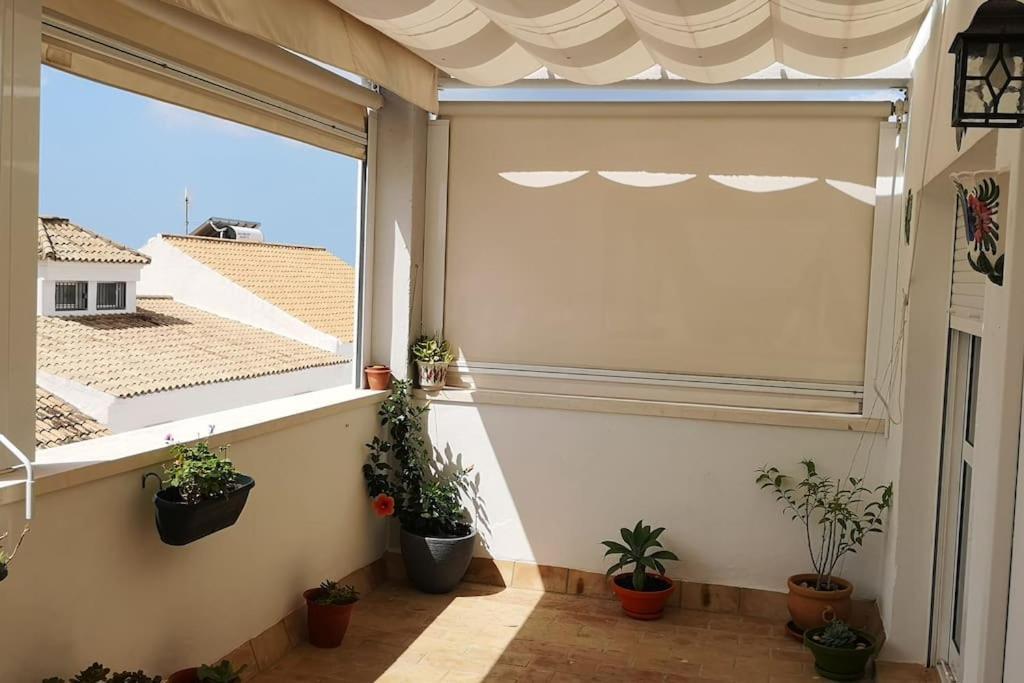 Ideal Conil - Atico - Amplia Terraza - Garaje Conil De La Frontera Eksteriør bilde